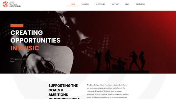 Screenshot of the The Liam Colgan Music Fund website