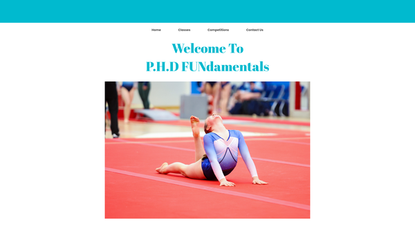Screenshot of the P.H.D FUNdamentals website