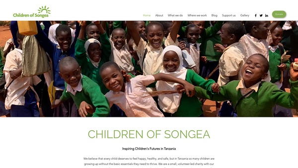 Screenshot of the Children of Songea SCIO website
