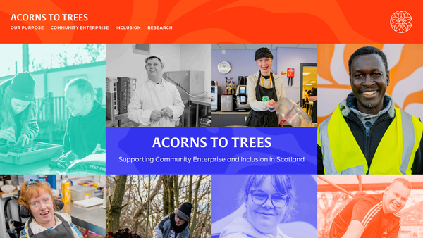 Screenshot of the Acorns2Trees SCIO website