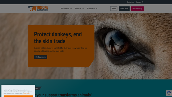 Screenshot of the The Brooke Hospital for Animals website