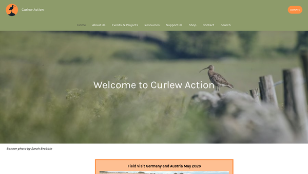 Screenshot of the Curlew Action website