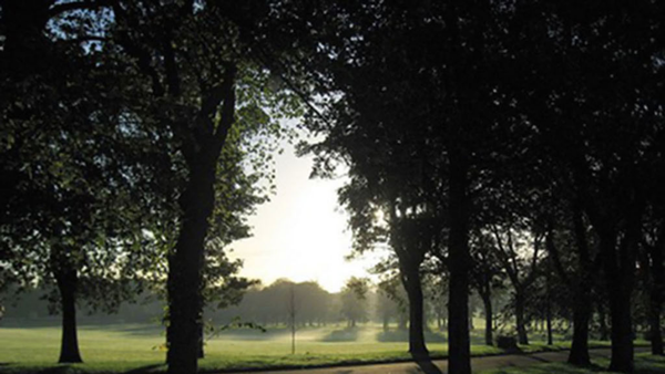 Screenshot of the The Friends of Inverleith Park (SCIO) website