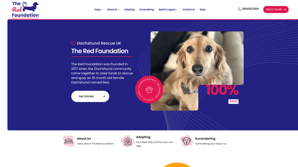 Screenshot of the The Red Foundation website