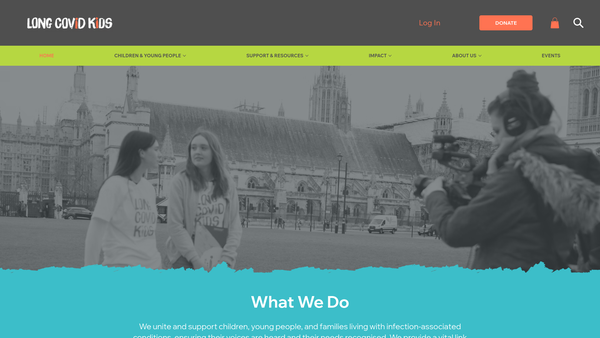 Screenshot of the Long Covid Kids and Friends website