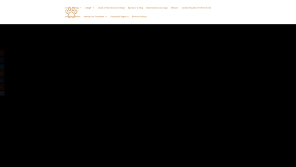 Screenshot of the Lend A Paw Rescue website