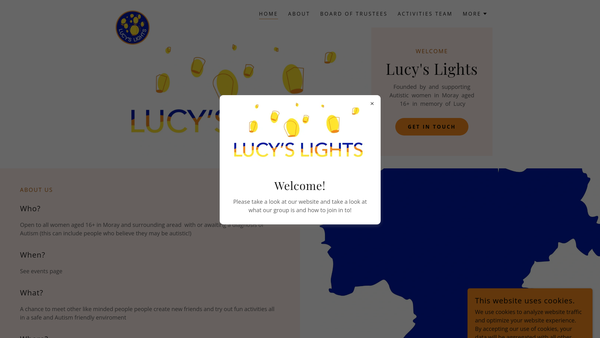 Screenshot of the Lucy's Lights website