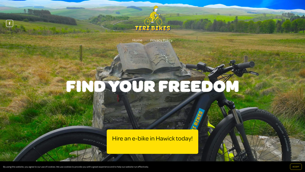 Screenshot of the Teri Bikes website