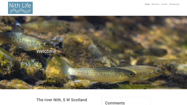 Screenshot of the Nith Life website