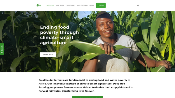 Screenshot of the Tiyeni website