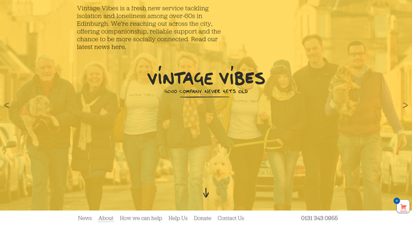 Screenshot of the Vintage Vibes website