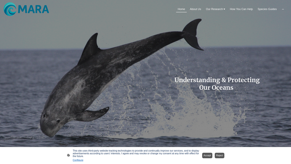 Screenshot of the Mara website