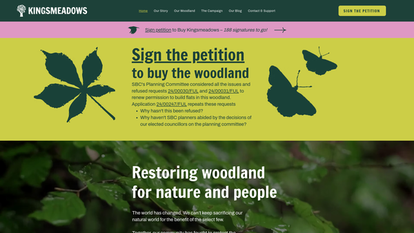 Screenshot of the Kingsmeadows SCIO website