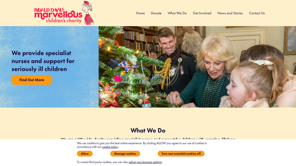 Screenshot of the Roald Dahl's Marvellous Children's Charity website