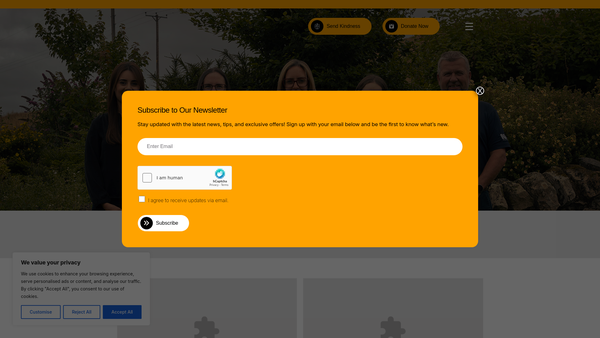 Screenshot of the Mark Williams Foundation website
