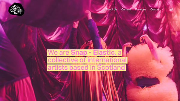 Screenshot of the Snap Elastic Ltd website
