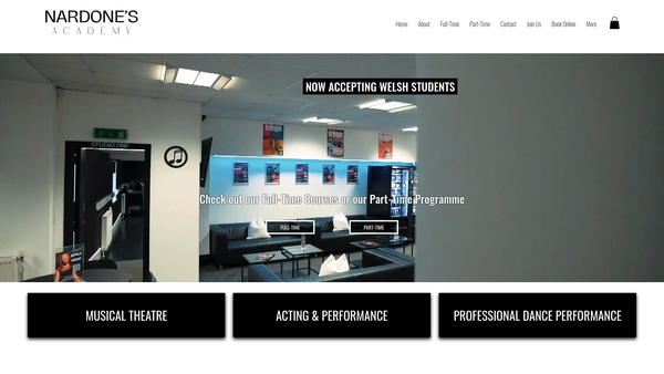 Screenshot of the Nardone's Academy Limited website