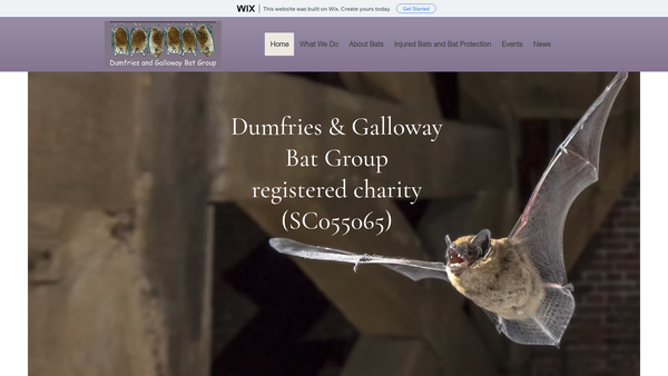 Screenshot of the Dumfries & Galloway Bat Group website
