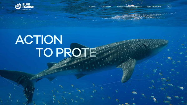 Screenshot of the Blue Marine Foundation website