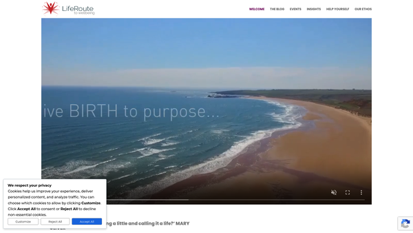 Screenshot of the LifeRoute website