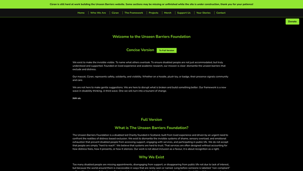 Screenshot of the The Unseen Barriers Foundation website